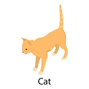 Cat 图标, 等距样式