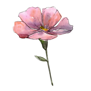 背景,质地,包装图案,框架或边框的水彩画野花粉红色和紫色亚麻花植物