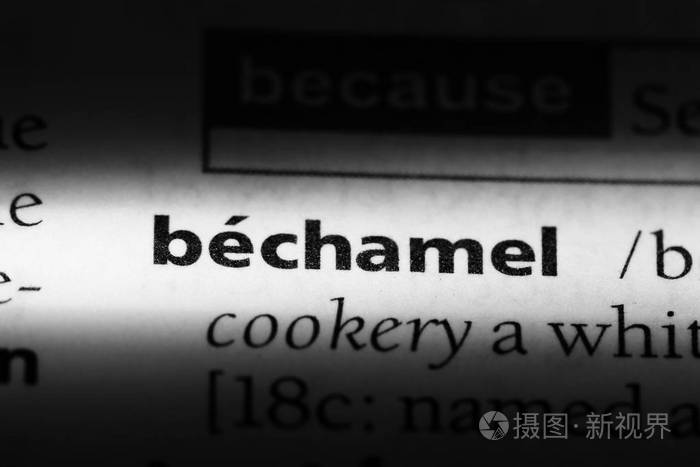 bechamel词典中的单词bechamel理念