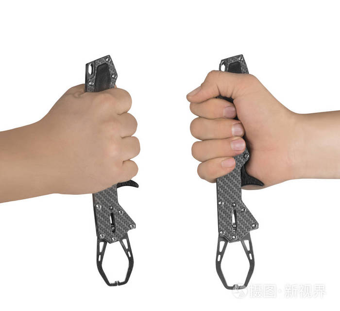 鱼唇抓握手爪在白色上被隔绝