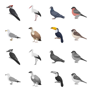 海鸥, 巨嘴鸟和其他物种。鸟类集合图标在卡通, 单色风格矢量符号股票插画网站