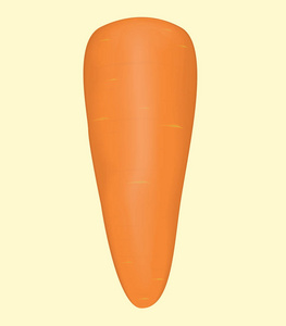 蔬菜胡萝卜。食品健康自然有机载体和例证