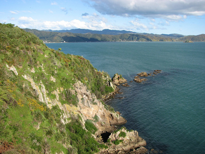 山和海景