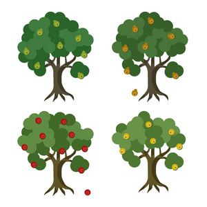 苹果树和梨树集矢量插画