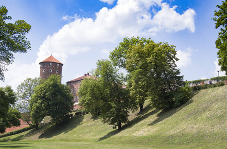 瓦维尔城堡的塔在克拉科夫在夏天。波兰