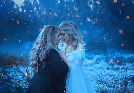 阴阳.艺术照片照片