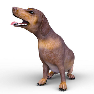 Dachshund3d 的 Cg 渲染