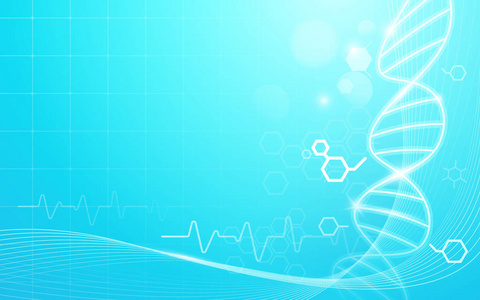 Dna 和心率。医学与科学概念抽象背景