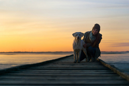 年轻可爱的白拉布拉多猎犬狗狗狗和女性人一起在户外训练