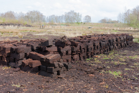 泥炭在荷兰乡村景观挖照片