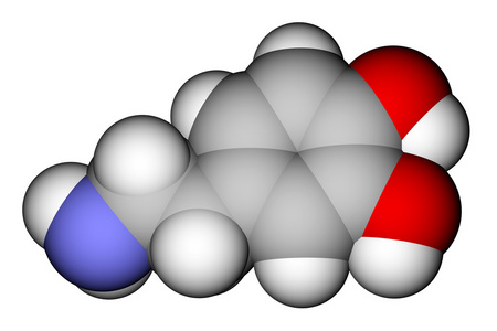 多巴胺空间填充分子模型