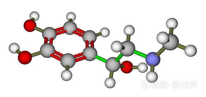肾上腺素的分子模型