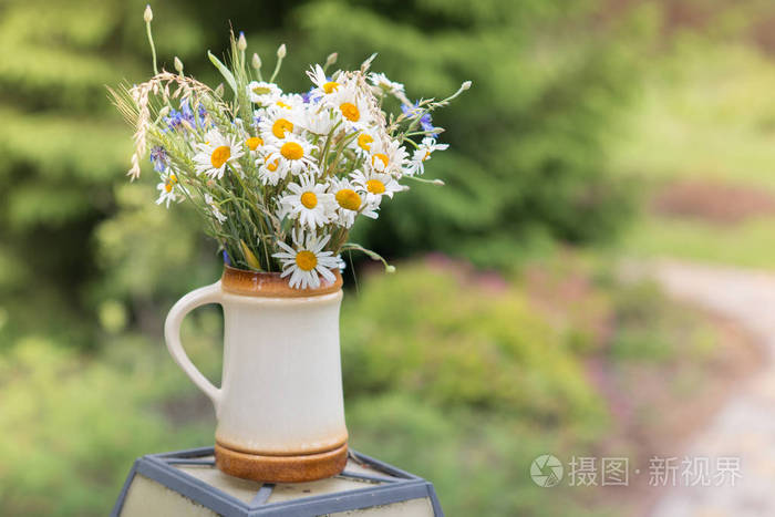在拉脱维亚的仲夏 6月ligo 的庆祝活动装饰家与田野花花束照片 正版商用图片04zz3p 摄图新视界