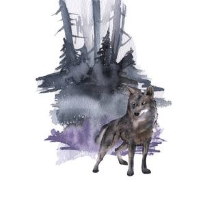西伯利亚。森林狼