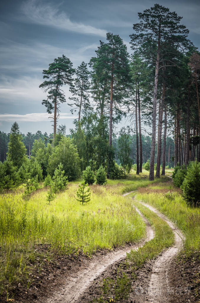 乡间小路向森林方向走去