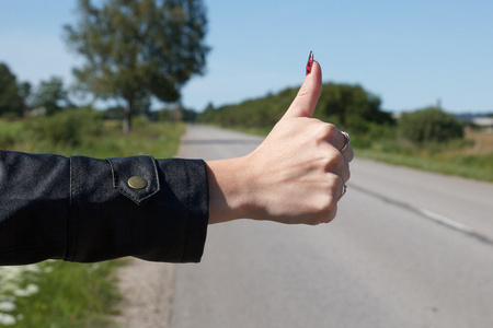 狗头伸出车搭便车伸出他的拇指照片