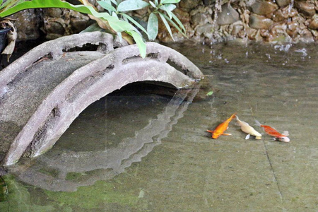 三彩锦鲤小型装饰池塘混凝土桥图片