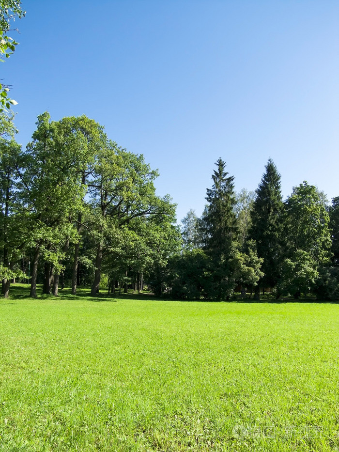 景观沐浴在阳光下的草坪和蓝色天空