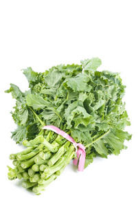 群 rapini 白色上孤立的