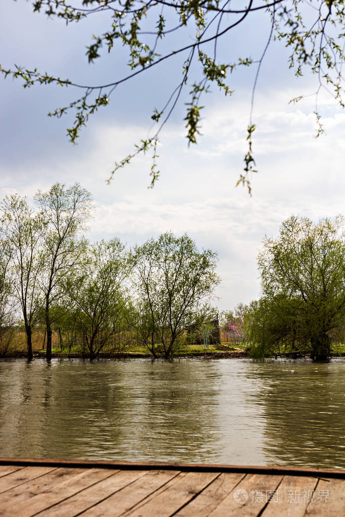 河岸边有树河岸边的森林从河的看法