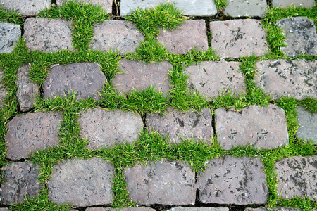 石头之间的草照片