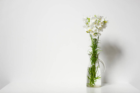 墙上的花瓶桔梗在墙上桌子上的花瓶里, 白色的背景照片