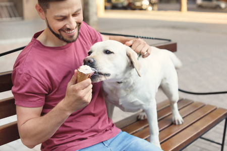 业主对待他的黄色拉布拉多猎犬与冰淇淋户外