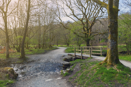 白色青苔步行, 风景森林消遣区域由河 Rothay 在安布尔赛德, 湖区国家公园在南累克林, 英国, 英国