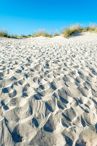 夏天沙滩上的沙丘