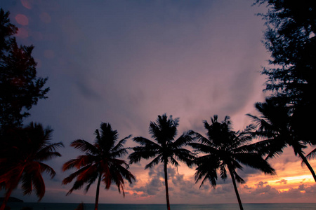 在泰国普吉岛的麦考海滩日落美景