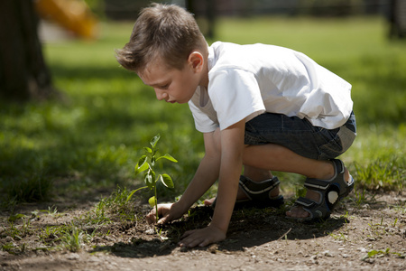 种植的小男孩照片