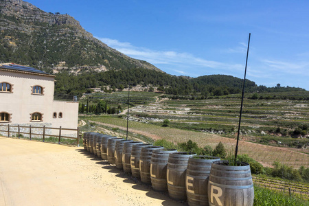 酒桶在葡萄园和山的谷的背景下