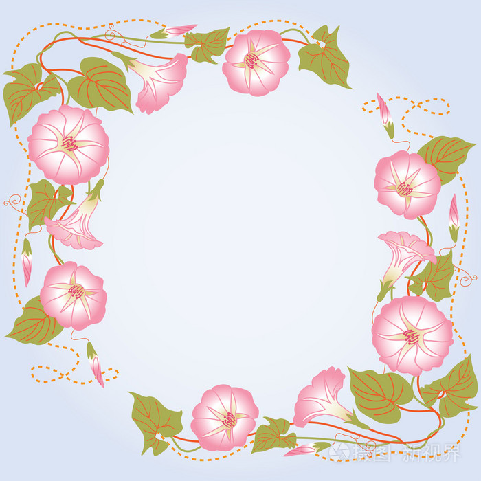 背景与粉红色的牵牛花