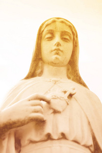 圣母玛利亚的心脏。圣母玛利亚纯洁的心我们的夫人。耶稣基督的圣母