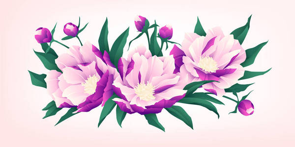 粉红色牡丹花的组成。明亮的渐变填充。矢量插图
