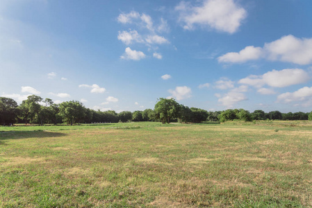 修剪整齐的草地, 在早春的清晨, 阳光普照的高大树木茂盛.