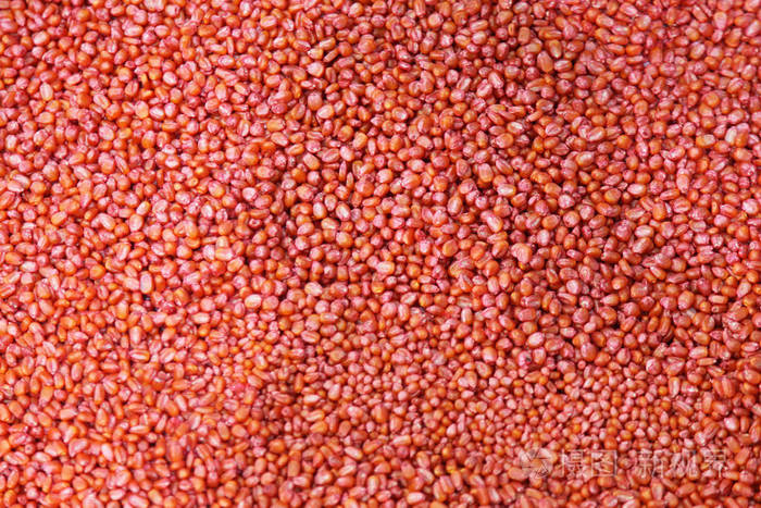 一束红色种子纹理背景