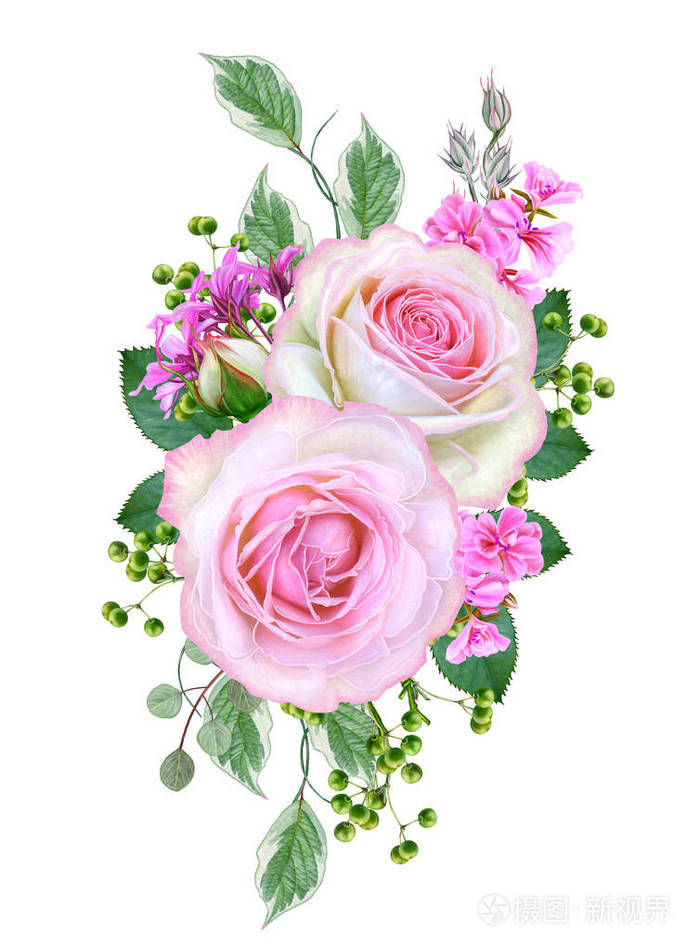 花组成一束娇嫩的粉红色玫瑰花蕾绿叶在白色背景上被隔离