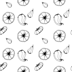手工绘制的南瓜图案。不同种类的南瓜。秋季模式背景。黑白相间。矢量插图