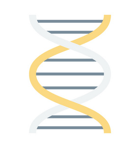 Dna 彩色矢量图标