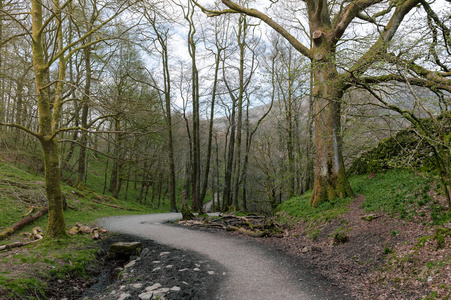 白色青苔步行, 风景森林消遣区域由河 Rothay 在安布尔赛德, 湖区国家公园在南累克林, 英国, 英国