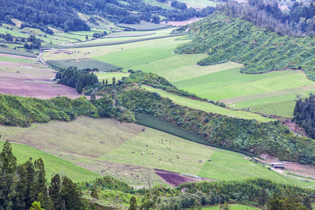 Sete Cidades 湖附近的典型丘陵地形, 位于葡萄牙亚速尔群岛的圣米格尔岛上, 覆盖着绿色植物和一些农业地区。牧场上的奶