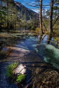 日本 Kamikochi 小溪流