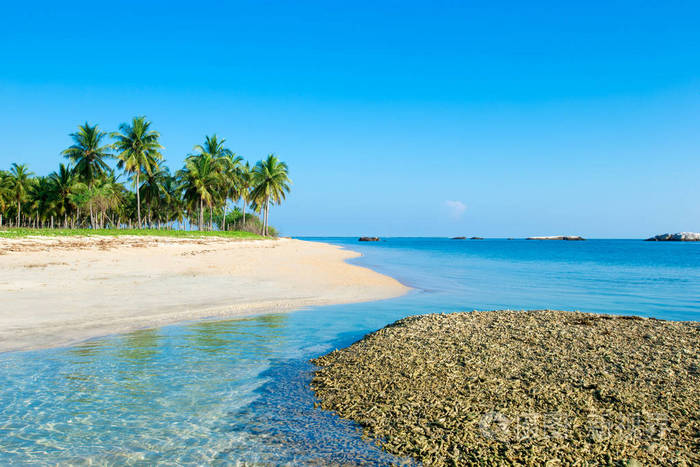 斯里兰卡的热带海滩,夏季假期和旅游度假概念