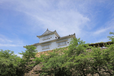 津山城堡景观和夏季时间日本