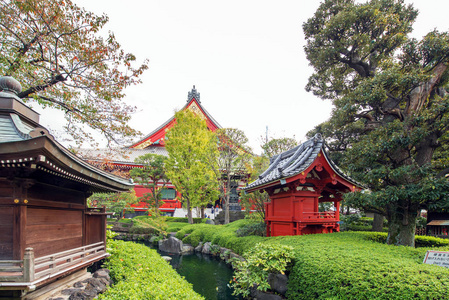 视图的建筑在浅草 Schrein 寺 传感器, 东京, 日本。复制文本空间