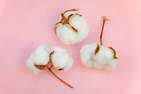 彩色棉花图片