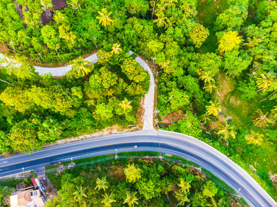 空中风景路边在森林与许多树为旅行和假期