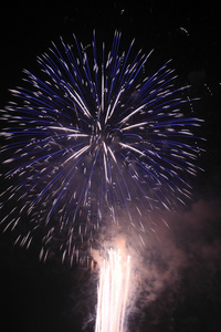 日本传统烟花在夜空中