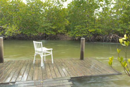 白色椅子上木路径通过热带森林和河流